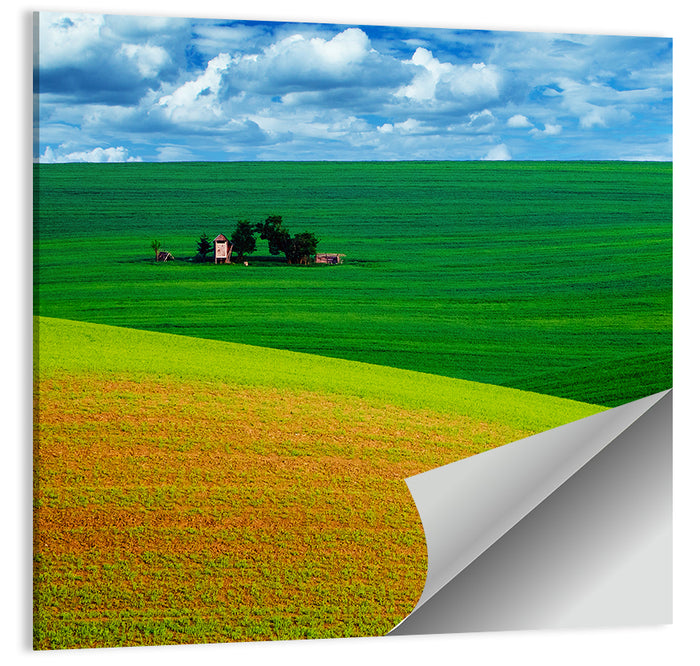Golden Field and Green Hillside Wall Art as a poster print
