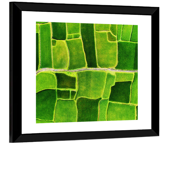 Verdant Rice Terrace Grid Wall Art as a framed print