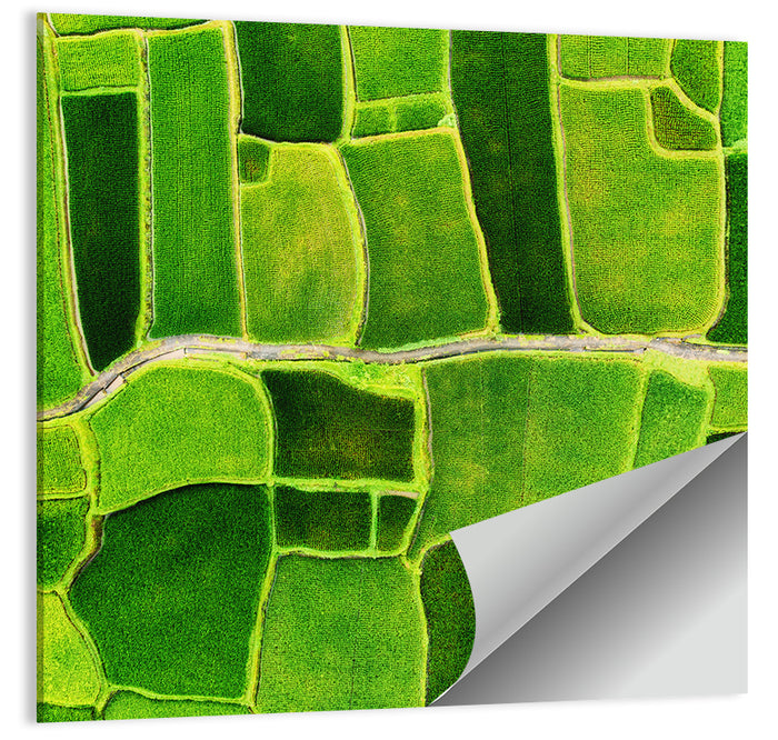 Verdant Rice Terrace Grid Wall Art as a poster print
