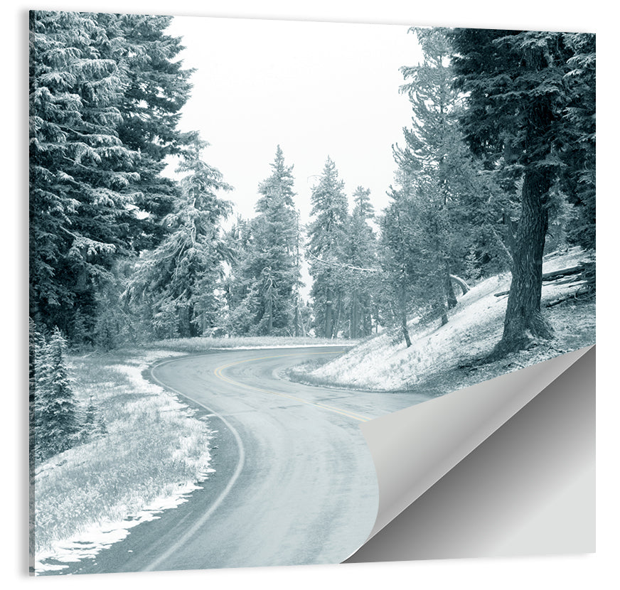 Snowy Highway Wall Art
