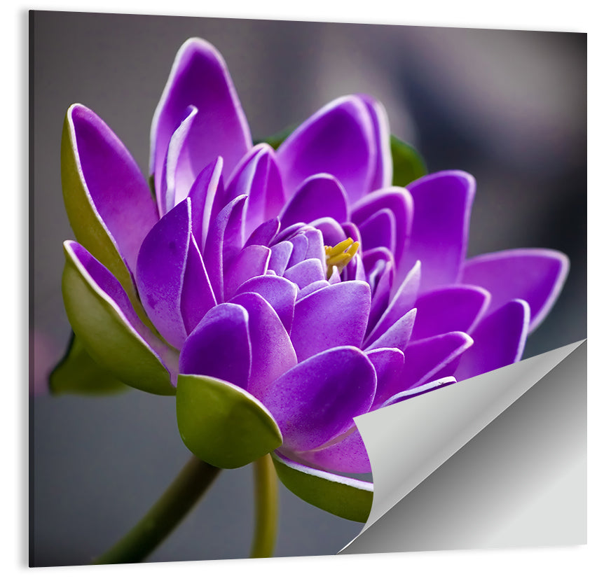 Purple Flower Wall Art