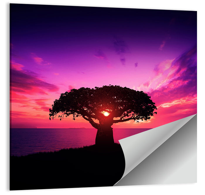 Baobab Sunset Silhouette Wall Art as a poster print