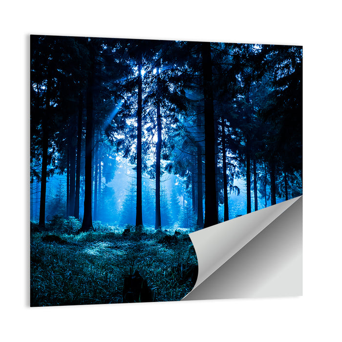 Thuringia Forest at Dusk Wall Art as a poster print