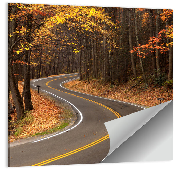 S-curve Road Through Autumn Forest Wall Art as a poster print