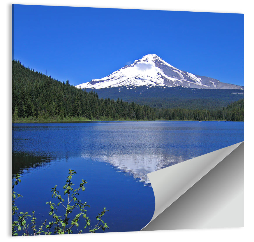 Mount Hood & Trillium Lake Wall Art