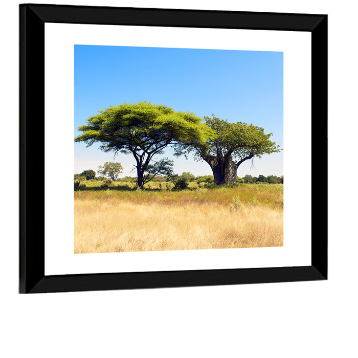 Acacia and Baobab Trees Wall Art as a framed print