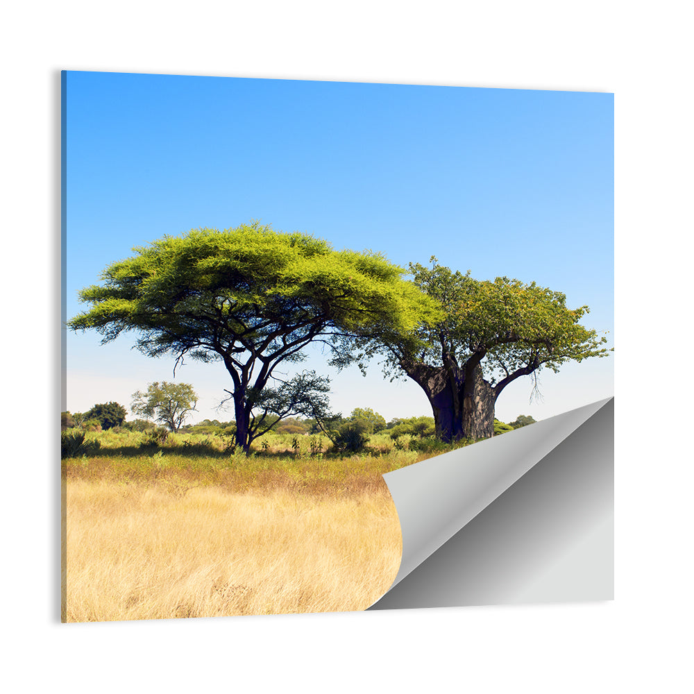 Acacia And Baobab Tree Wall Art