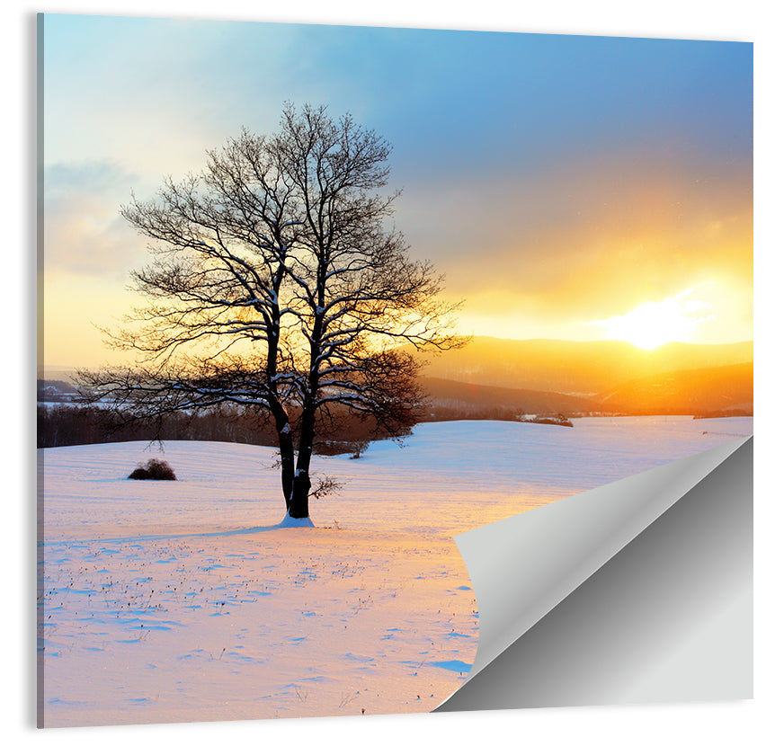 Snowy Winter Sunrise Wall Art