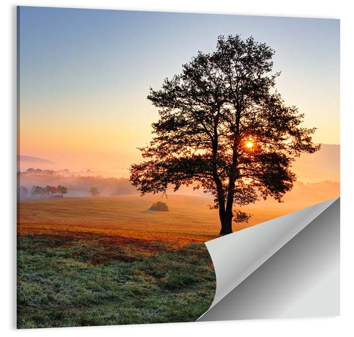 Misty Meadow Sunrise with Lone Tree Wall Art as a poster print