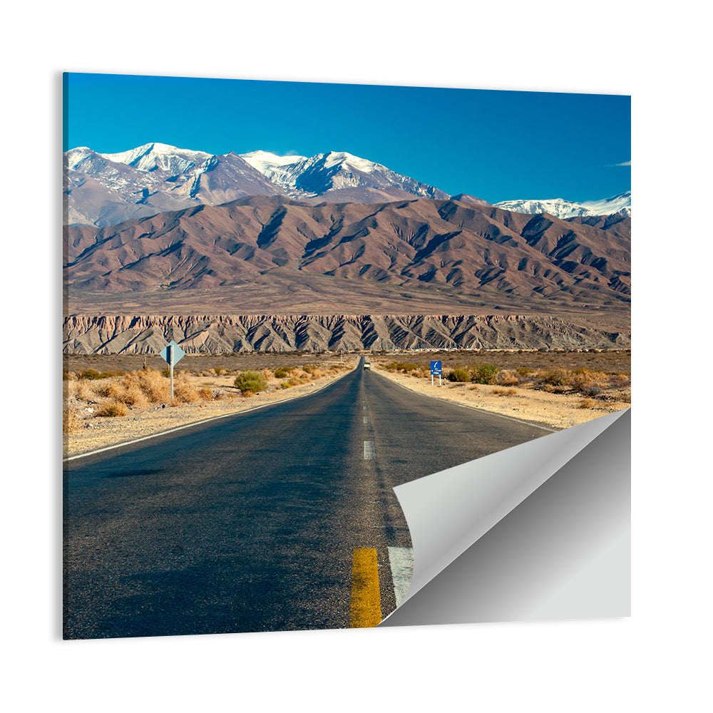 Northern Argentina Road Wall Art