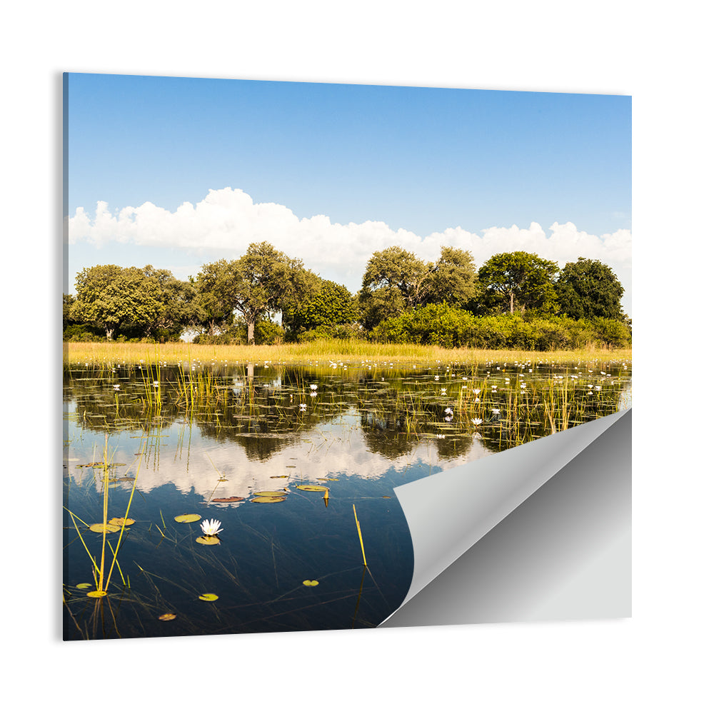 Okavango Delta Wall Art
