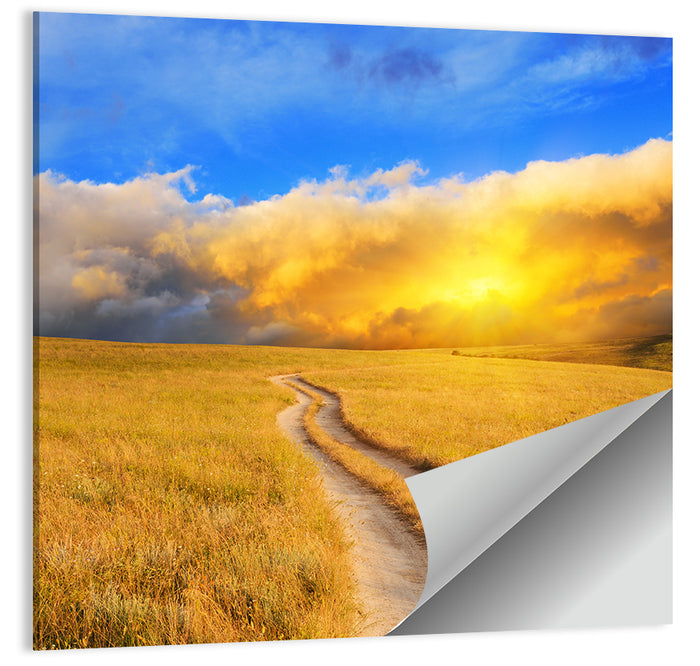 Sunlit Meadow Path with Dramatic Clouds Wall Art as a poster print
