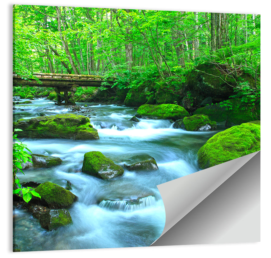 Spring Forest Stream Wall Art