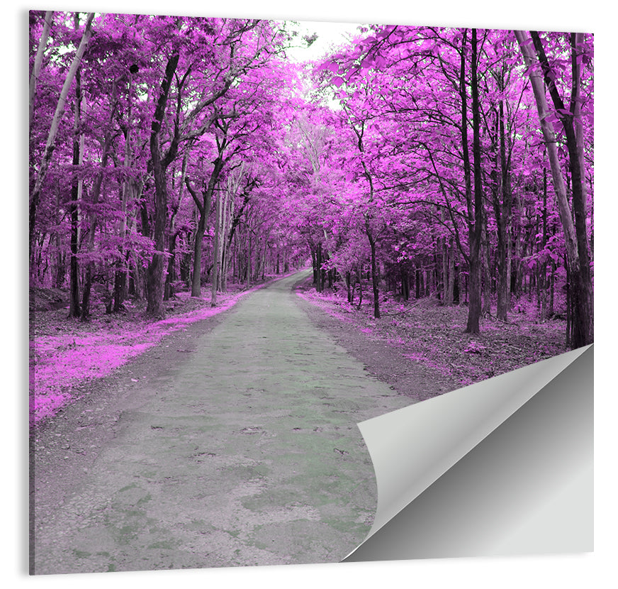 Autumn Forest Road Wall Art