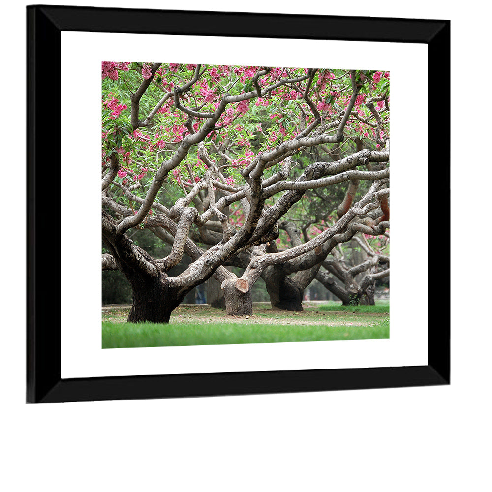 Peach Garden Wall Art