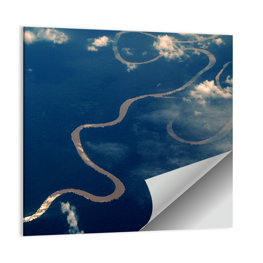 Amazon River Aerial Wall Art