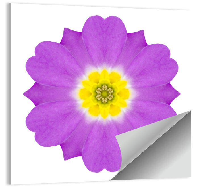 Kaleidoscopic Primrose Mandala Wall Art as a poster print