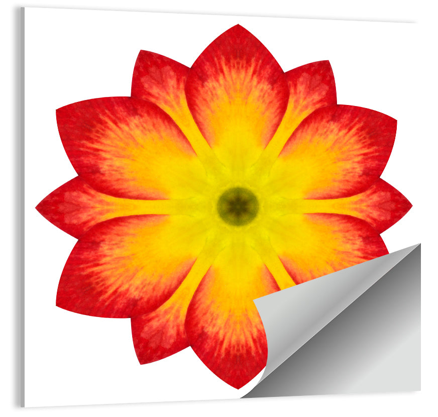 Primrose Mandala Abstract Wall Art