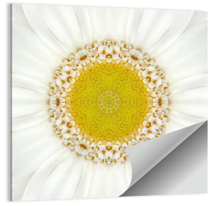 White Flower Mandala Kaleidoscope Wall Art as a poster print