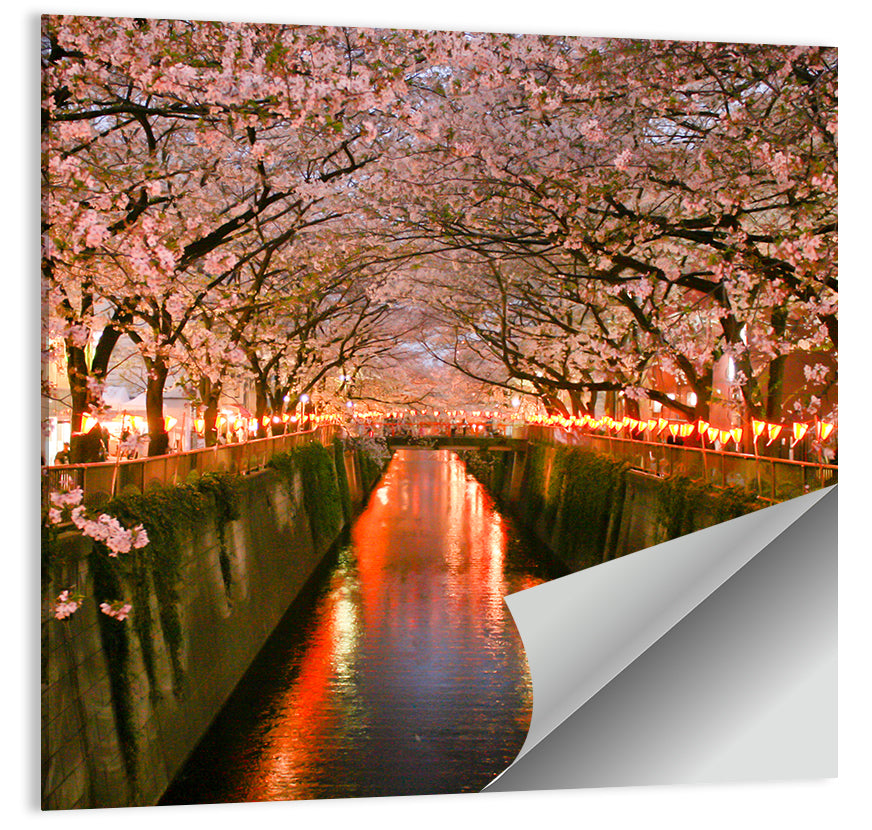 Meguro Cherry Blossom Wall Art