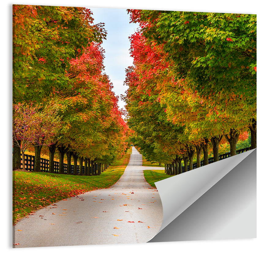 Horse Farm Rural Kentucky Wall Art