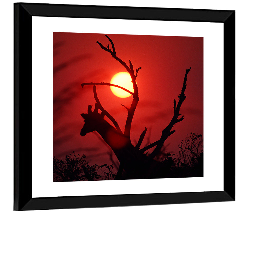 Giraffe at Sunset Wall Art