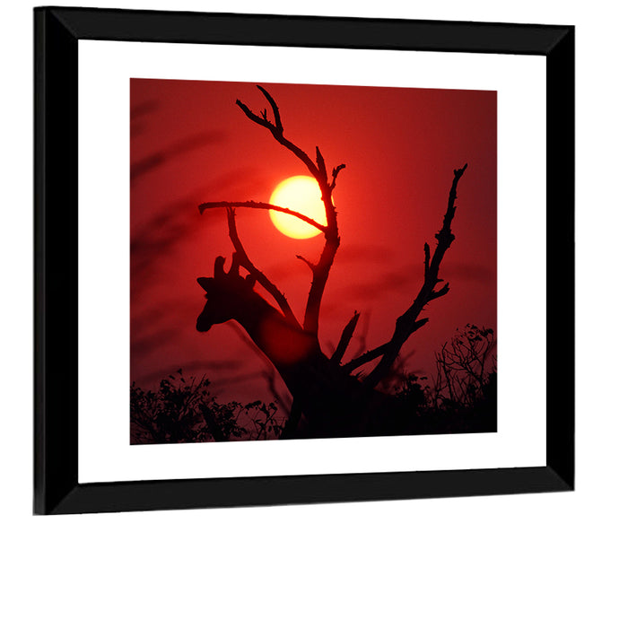 Giraffe Silhouette at Sunset Wall Art as a framed print