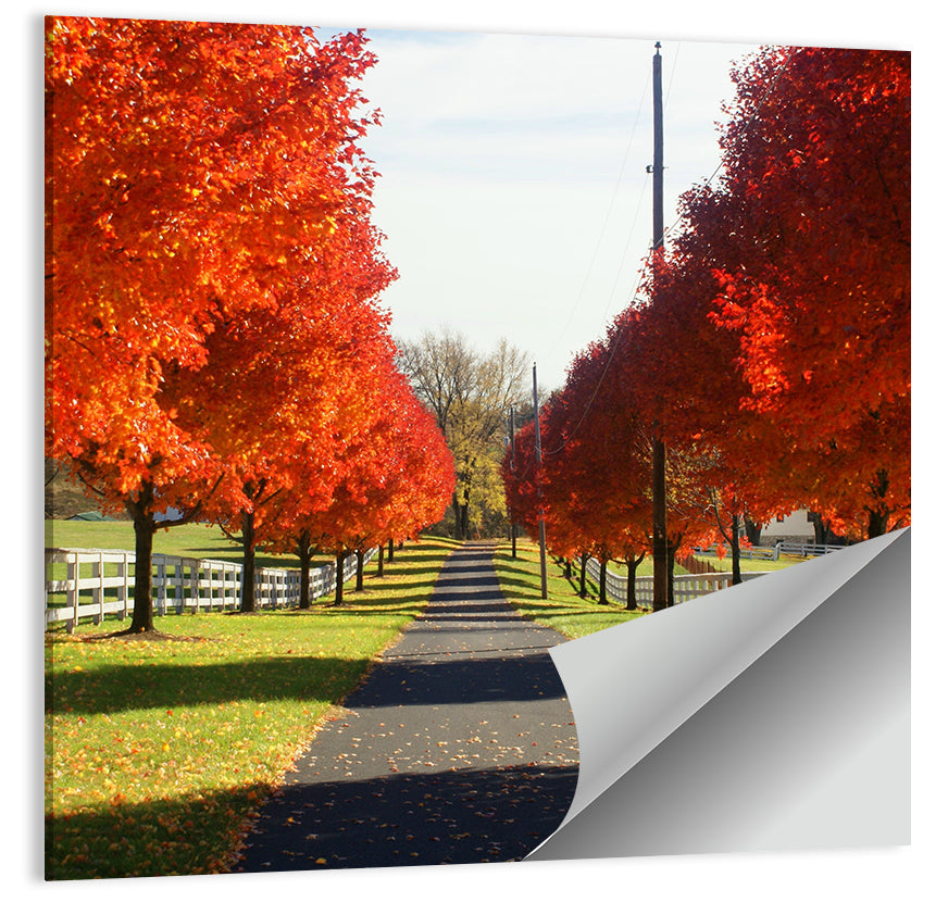 Frederick Farm Land Wall Art