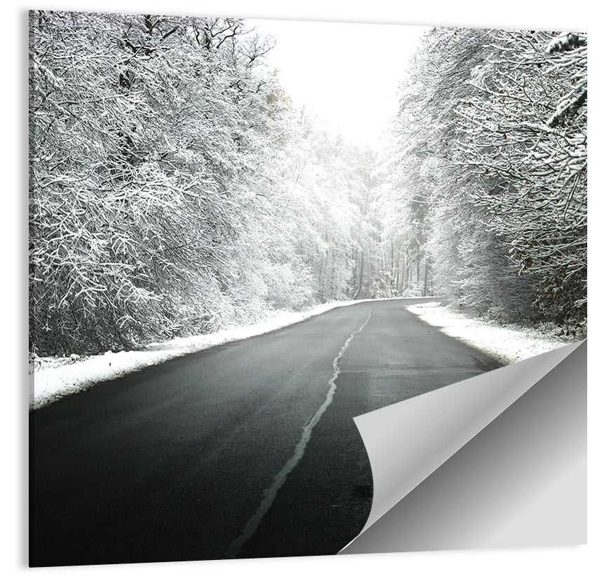 Foggy Winter Road Wall Art