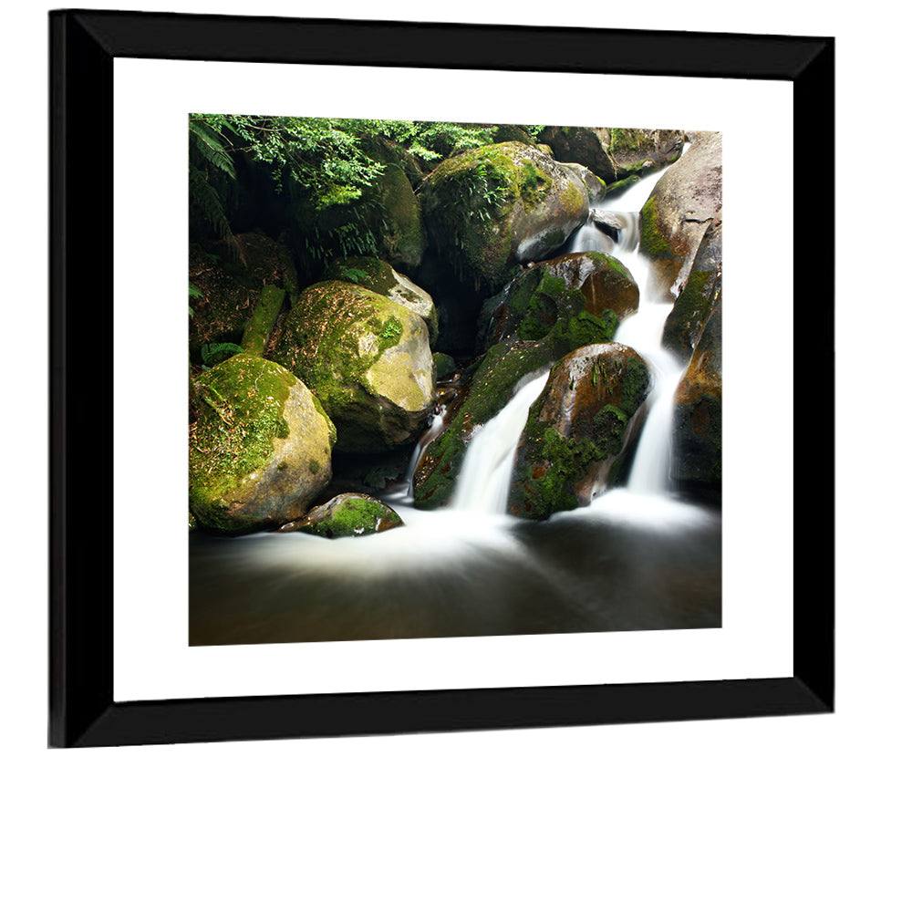 Rainforest Waterfall Wall Art