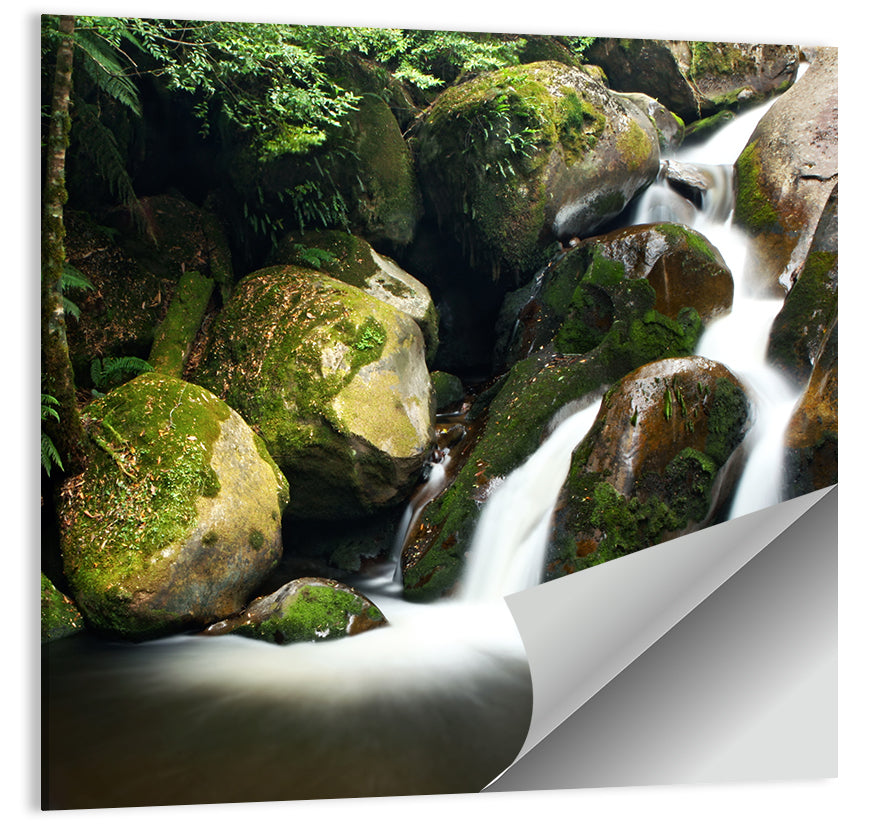 Rainforest Waterfall Wall Art