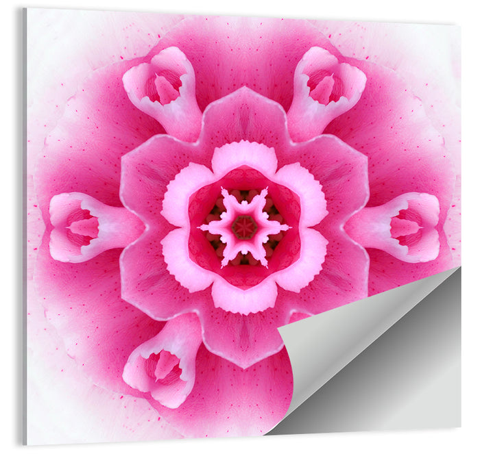 Pink Carnation Kaleidoscope Mandala Wall Art as a poster print