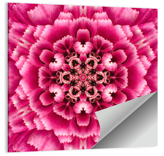 Kaleidoscopic Pink Chrysanthemum Mandala Wall Art as a poster print