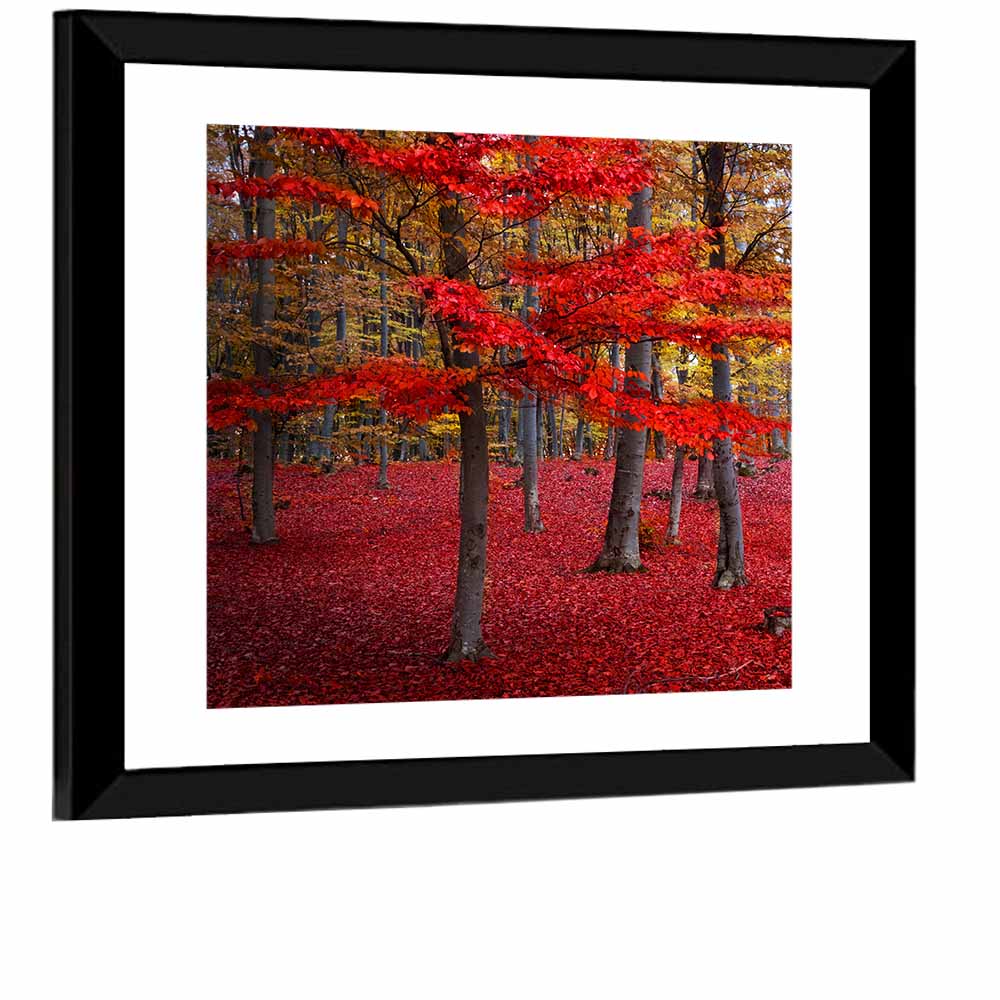 Red Trees Wall Art