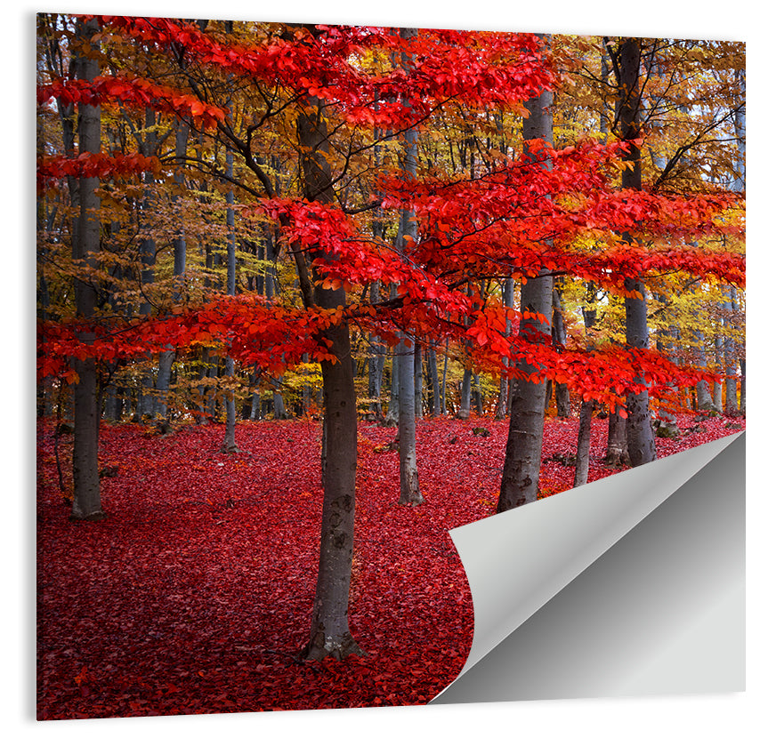 Red Trees Wall Art