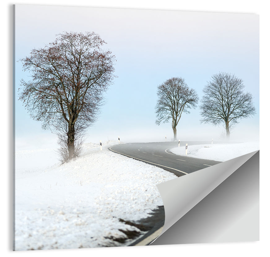 Winter Road Wall Art