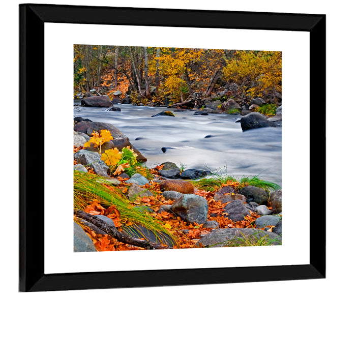 Golden Autumn Forest Creek Wall Art as a framed print