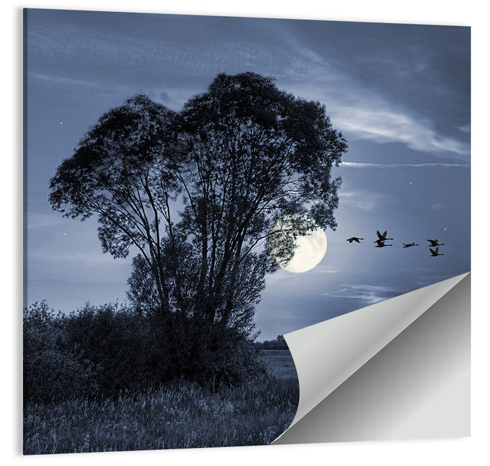 Moonlit Birds Over Quiet Field Wall Art as a poster print