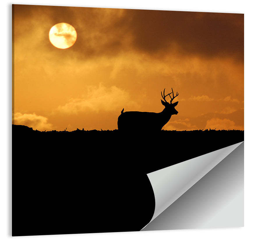Deer at Sunset Wall Art