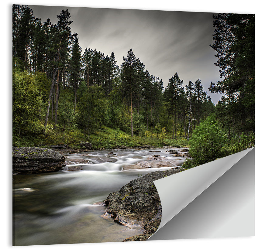 Forest Stream Wall Art