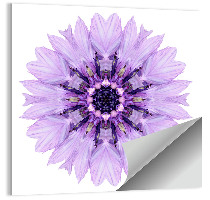 Lavender Cornflower Mandala Wall Art as a poster print