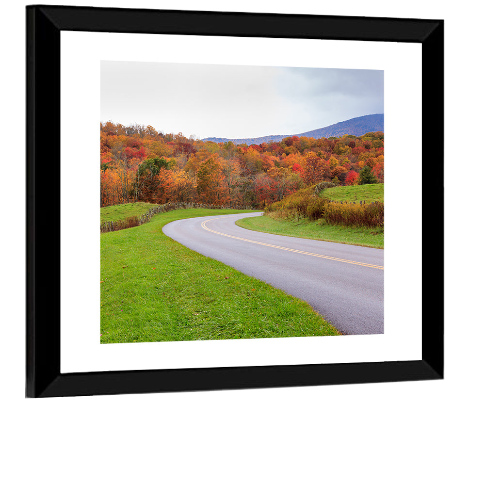 Road Through Meadow Wall Art