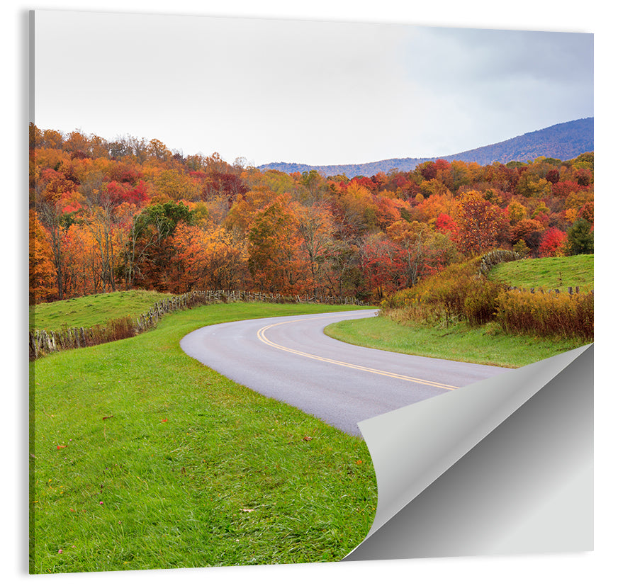 Road Through Meadow Wall Art