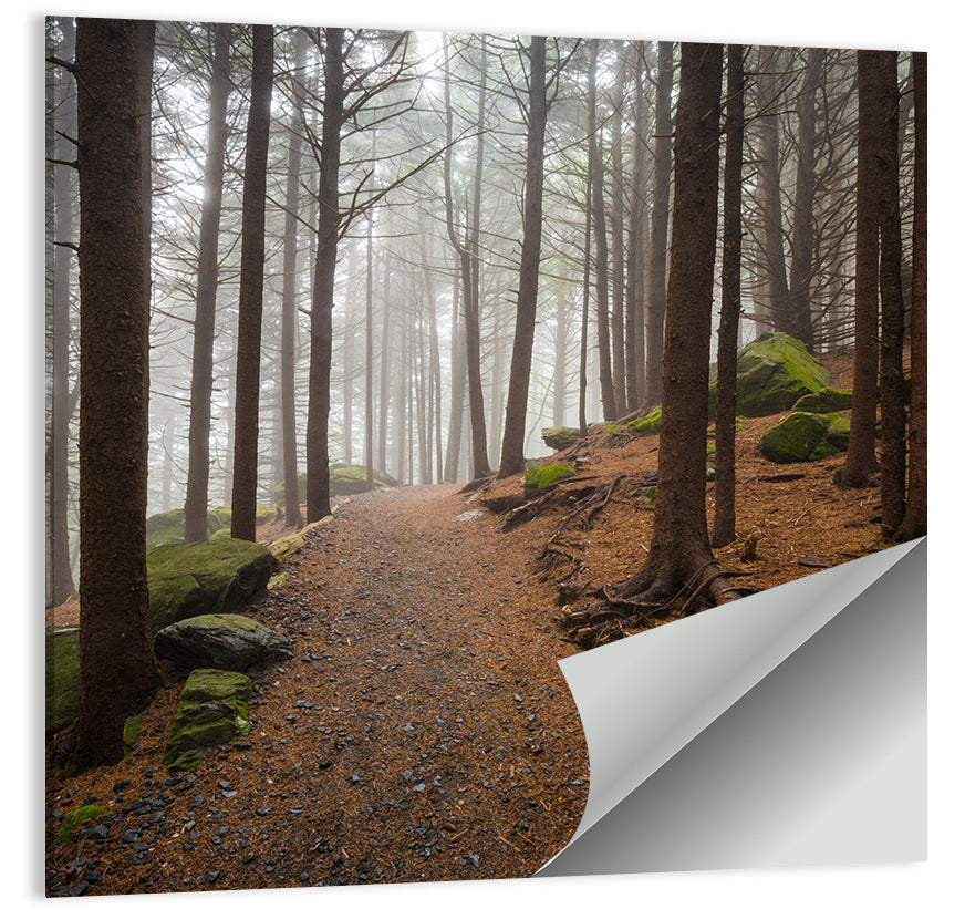 Appalachian Hiking Trail Wall Art