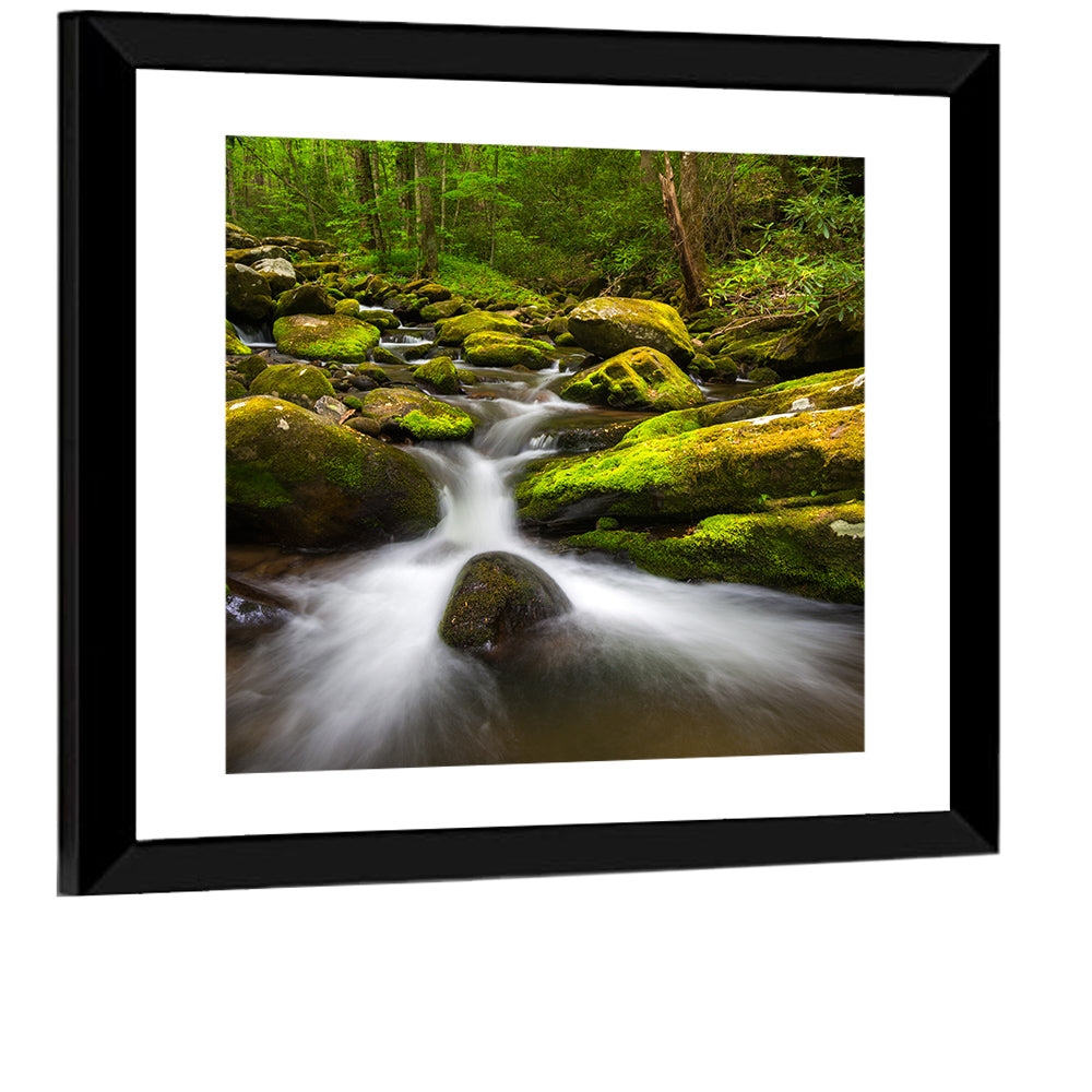 Green Forest Stream Wall Art