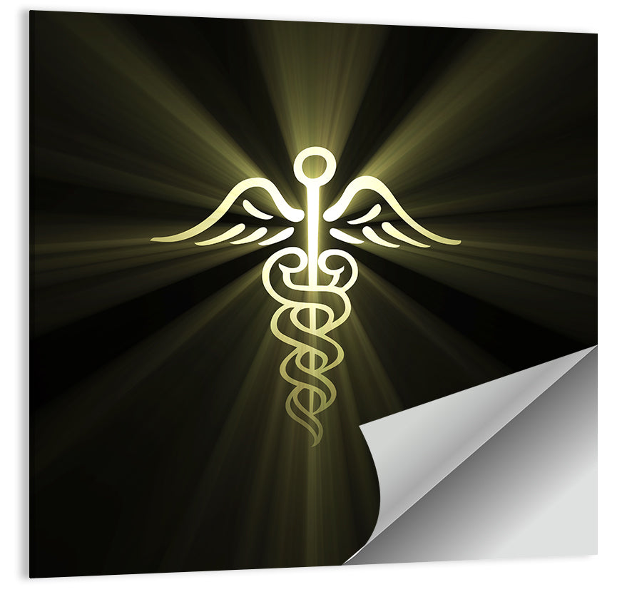 Medical Corps Symbol Wall Art