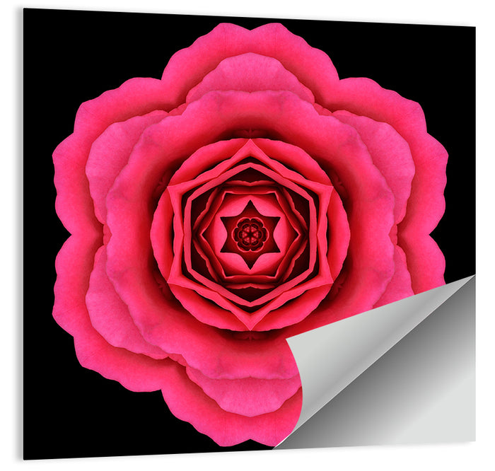 Magenta Rose Mandala Pattern Wall Art as a poster print