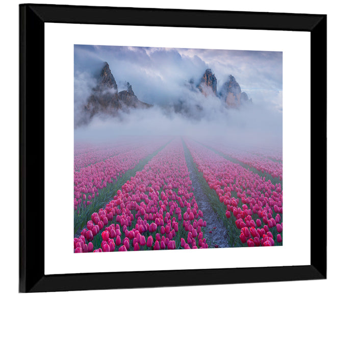 Misty Pink Tulip Field Wall Art as a framed print