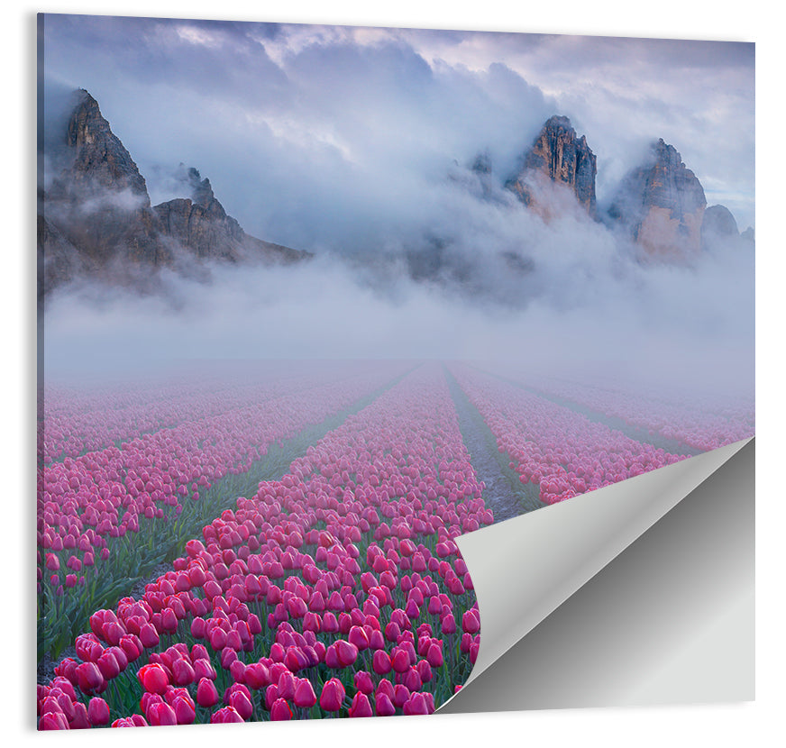 Foggy Tulips Field Wall Art