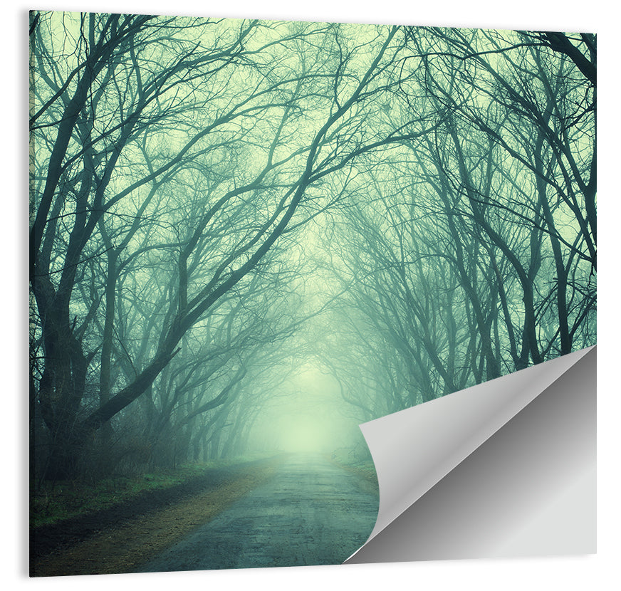 Mysterious Forest Pathway Wall Art